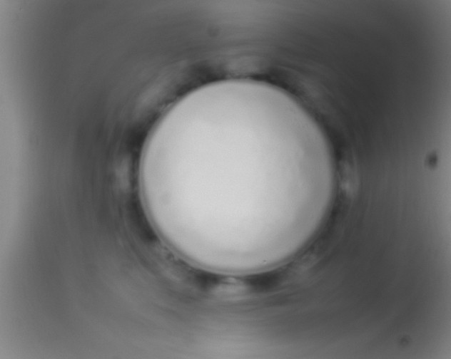 X0000113930519200910161854