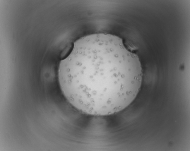 X0000113930520200910161854