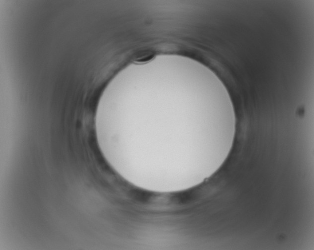 X0000113930521200910161854