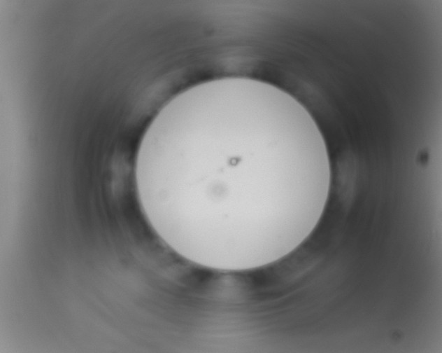 X0000113930522200910161854