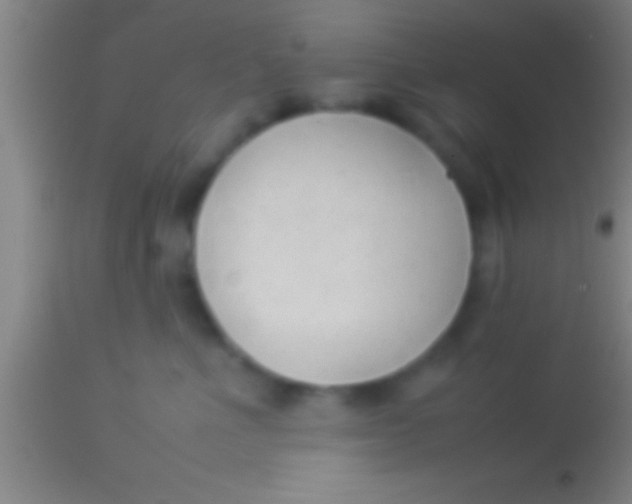 X0000113930523200910161854