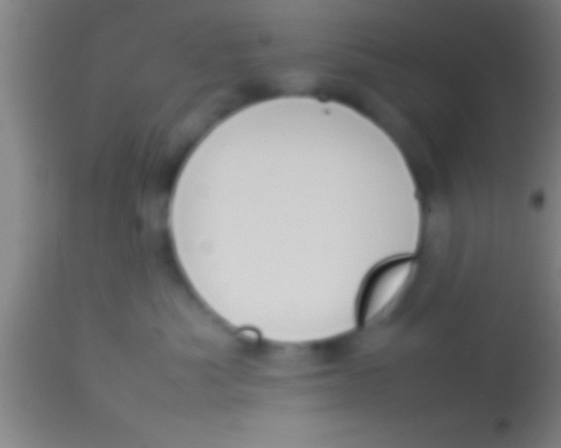 X0000113930525200910161854