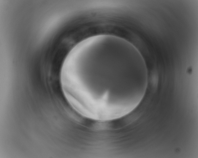 X0000113930526200910161854