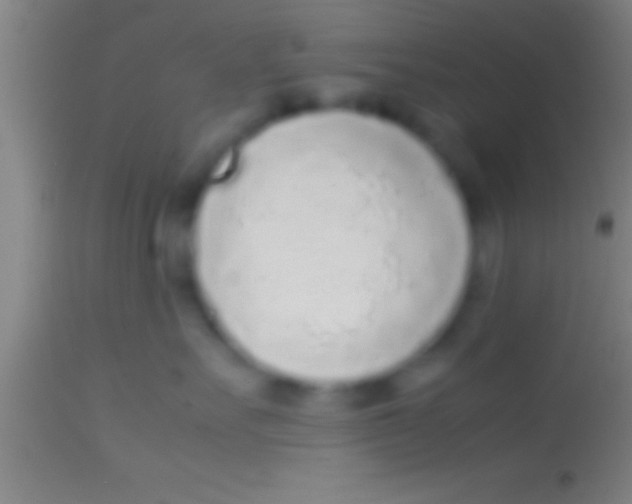 X0000113930527200910161854