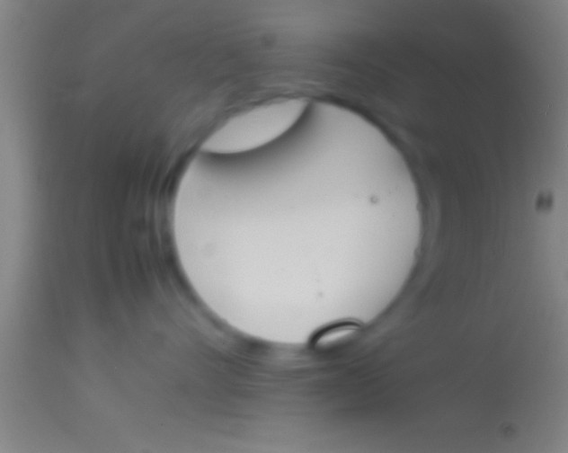 X0000113930528200910161854