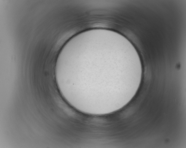 X0000113930529200910161853