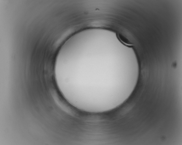 X0000113930530200910161853