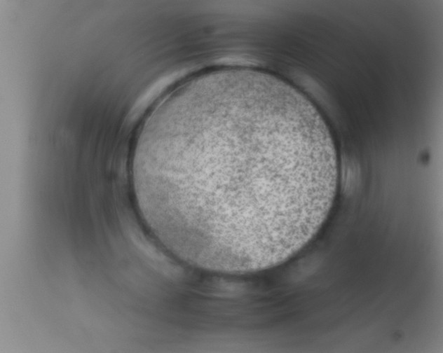 X0000113930531200910161853