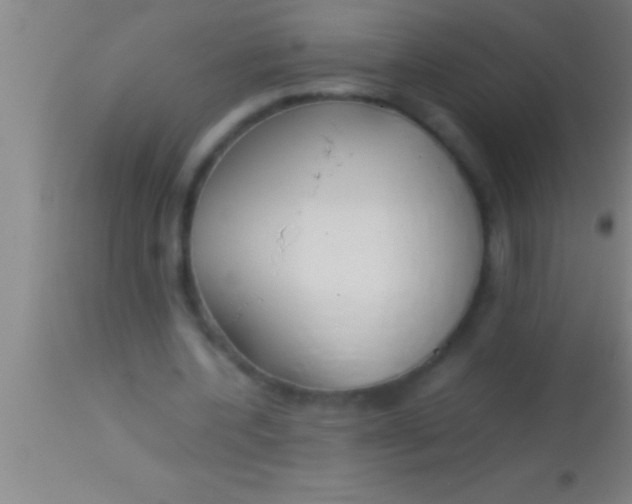 X0000113930532200910161853