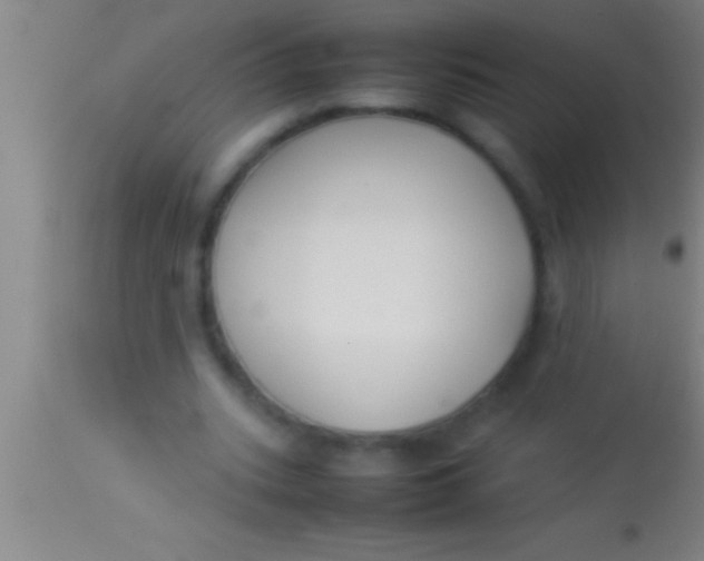 X0000113930535200910161853