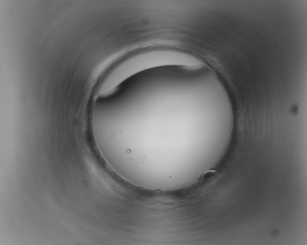 X0000113930536200910161853