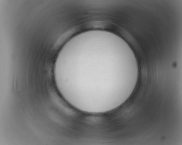 X0000113930537200910161853