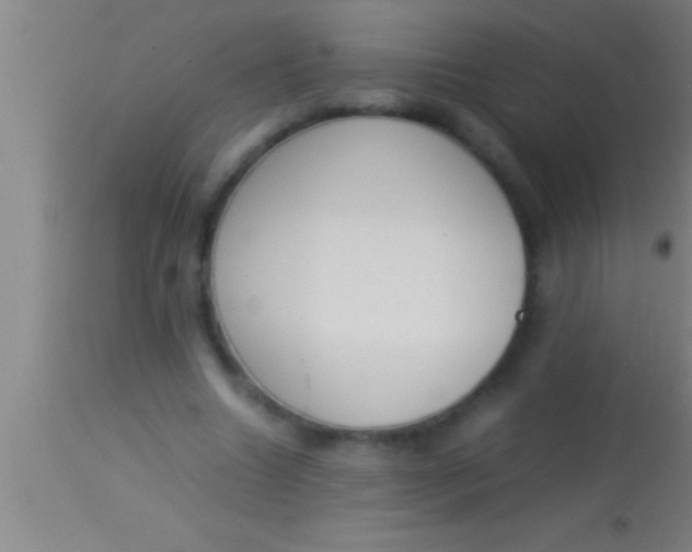 X0000113930538200910161853