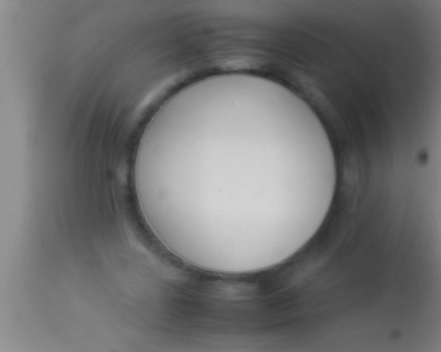 X0000113930539200910161854