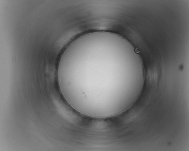 X0000113930540200910161854