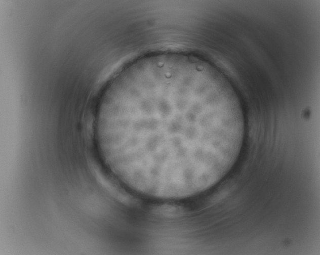 X0000113930542200910161854