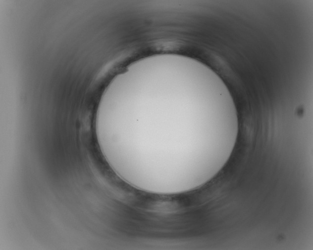 X0000113930543200910161854