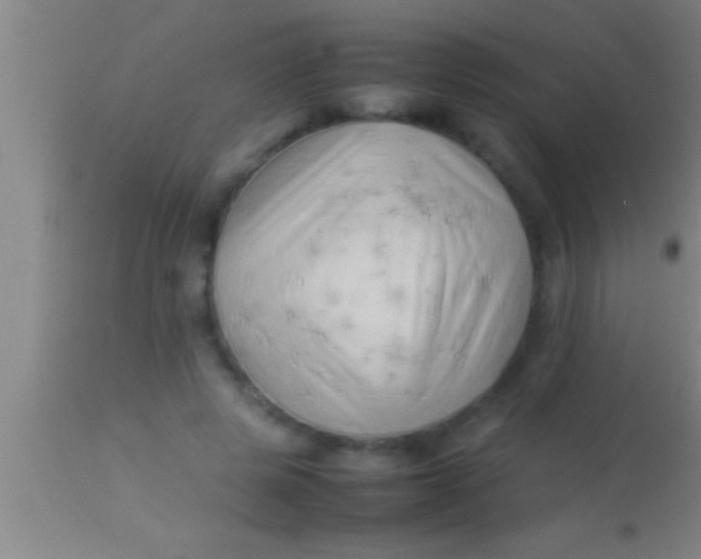 X0000113930545200910161854