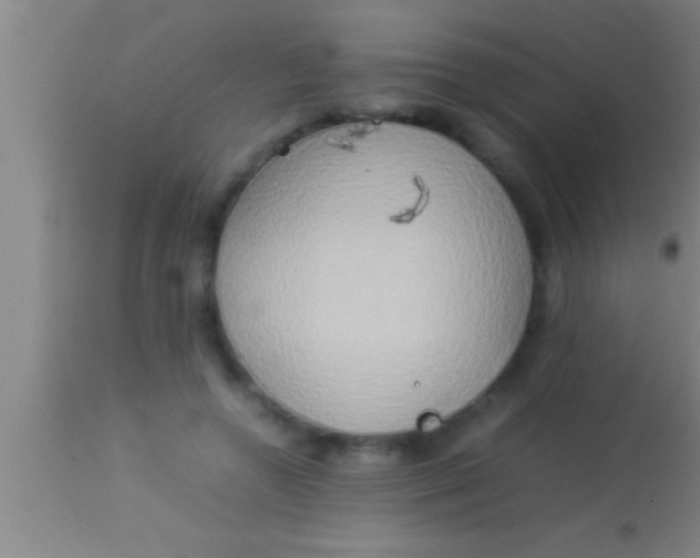 X0000113930546200910161854