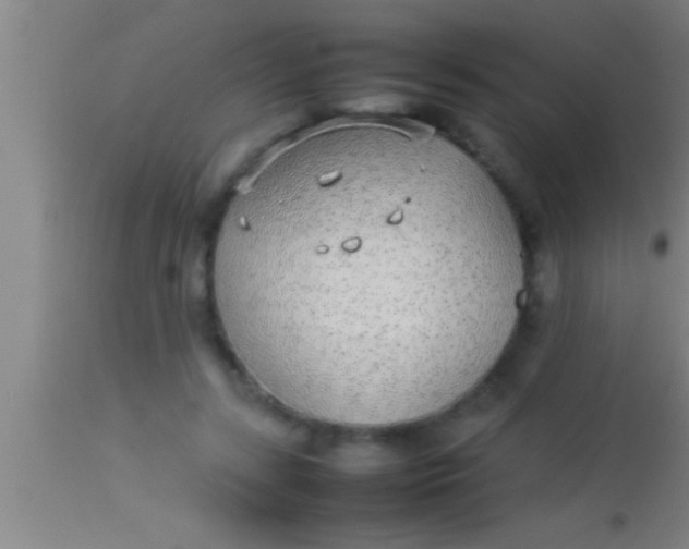 X0000113930547200910161854