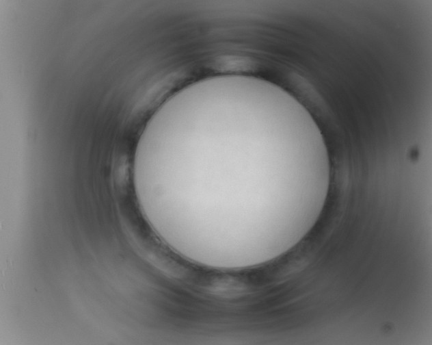 X0000113930549200910161854