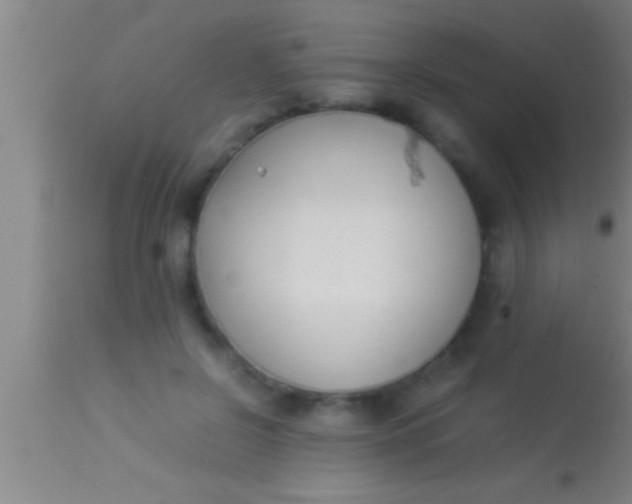 X0000113930550200910161854