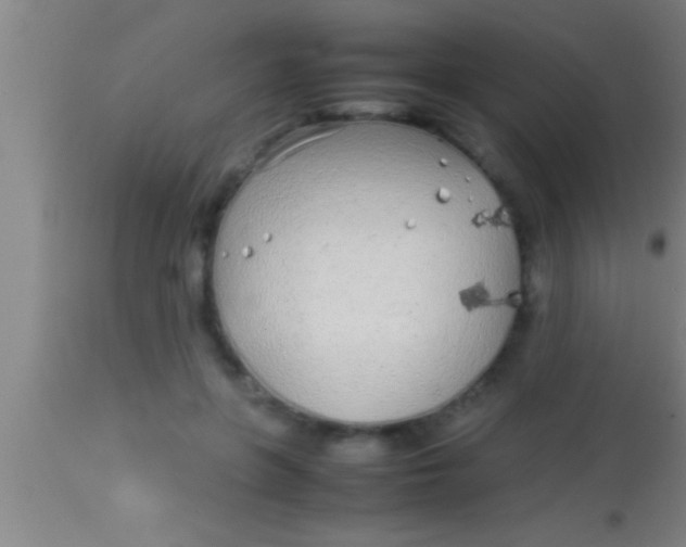 X0000113930551200910161854