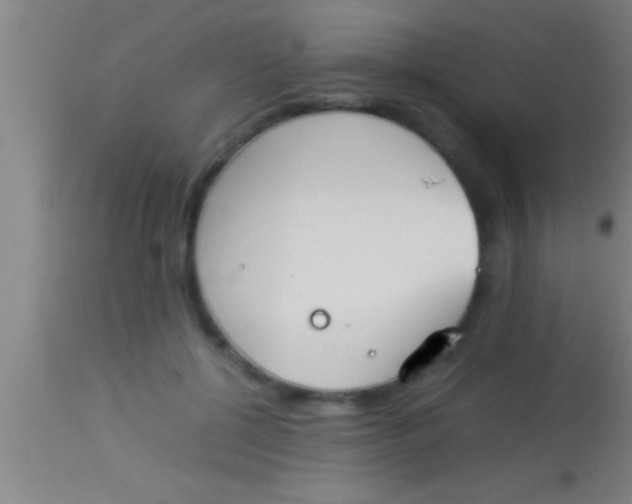 X0000113930552200910161854