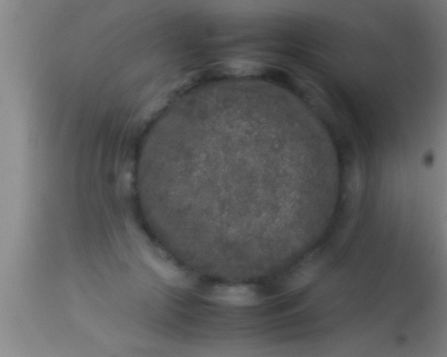 X0000113930553200910161854