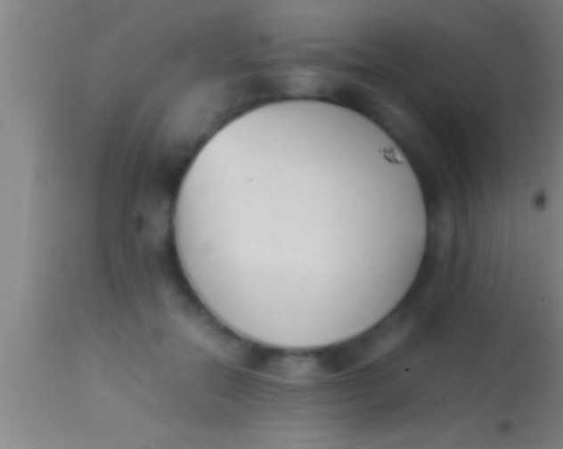 X0000113930554200910161854