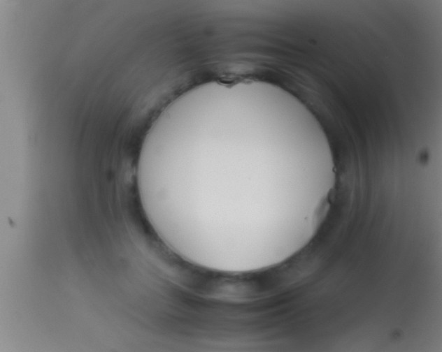 X0000113930555200910161854