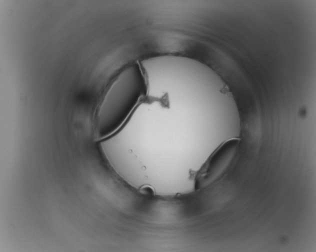 X0000113930556200910161854