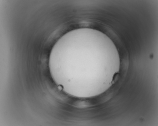 X0000113930557200910161854