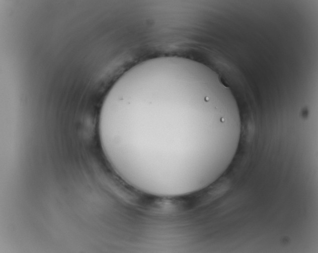 X0000113930558200910161854