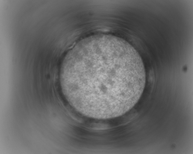 X0000113930559200910161854