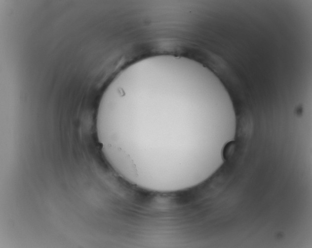 X0000113930560200910161854