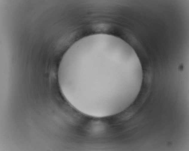 X0000113930561200910161854