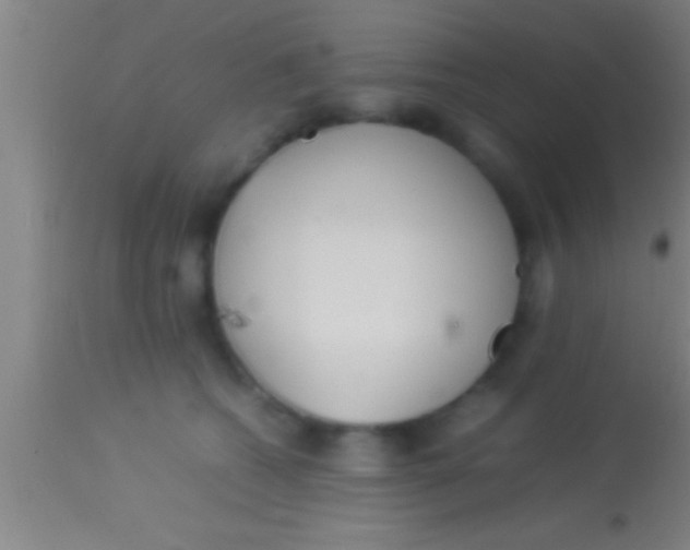 X0000113930562200910161854