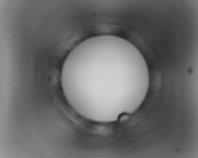 X0000113930563200910161854