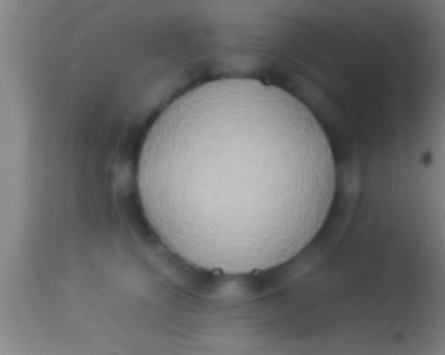 X0000113930564200910161854