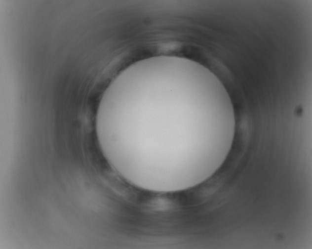 X0000113930565200910161854
