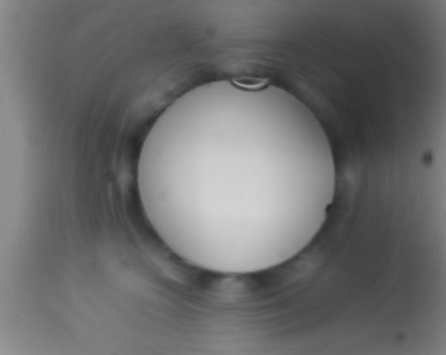 X0000113930566200910161854