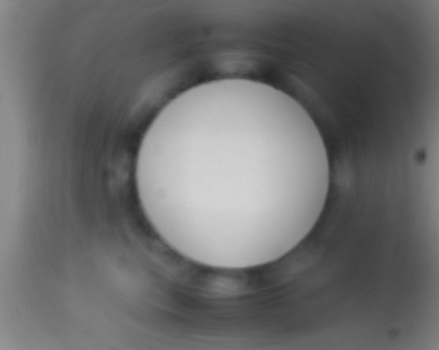 X0000113930567200910161854