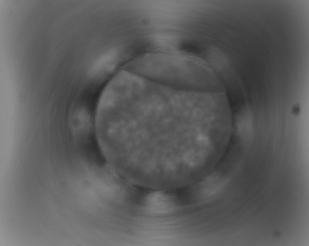 X0000113930568200910161854