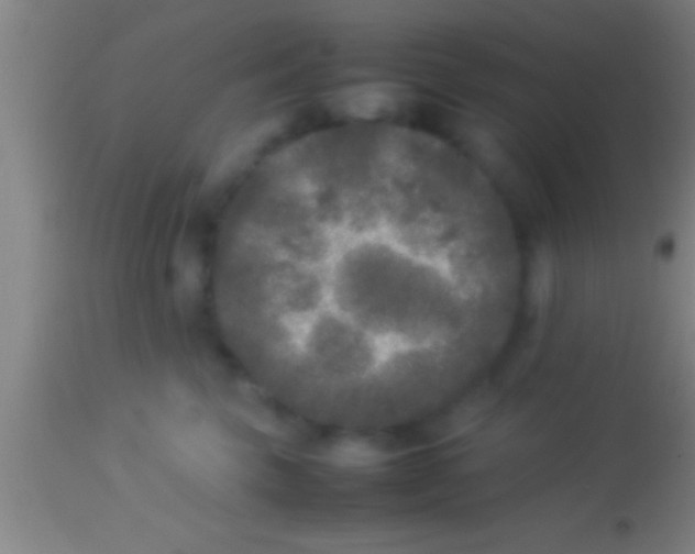 X0000113930569200910161854