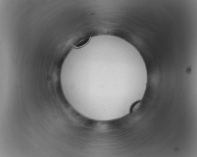 X0000113930570200910161854