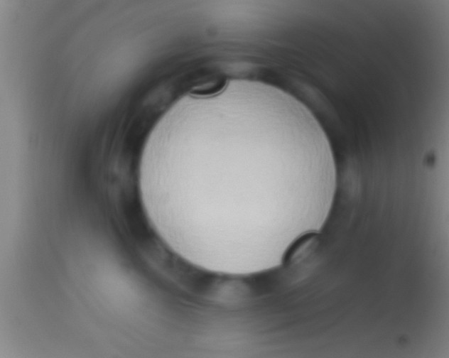 X0000113930572200910161854