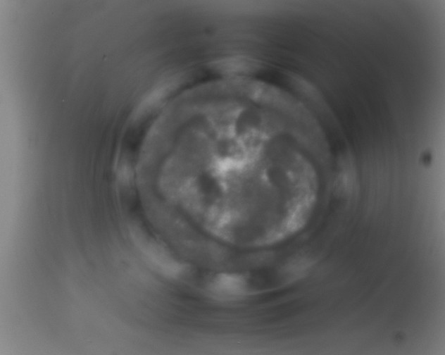 X0000113930573200910161854