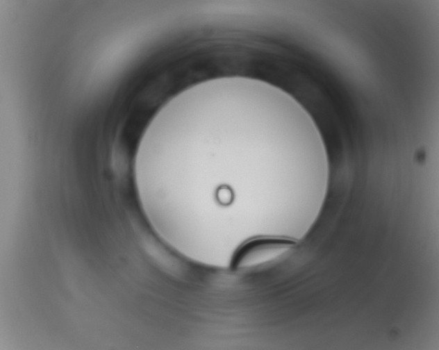 X0000113930574200910161854