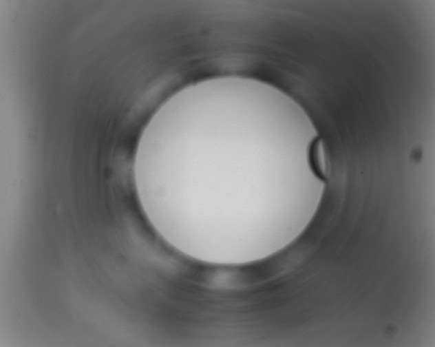 X0000113930575200910161854